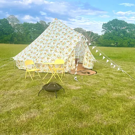 Wildside Camping & Glamping Ashford  Exterior photo