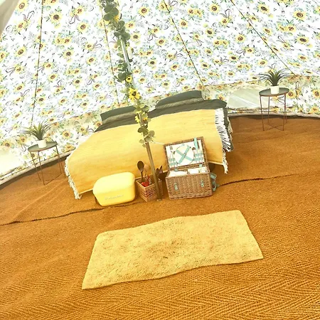 Wildside Camping & Glamping Ashford  Exterior photo