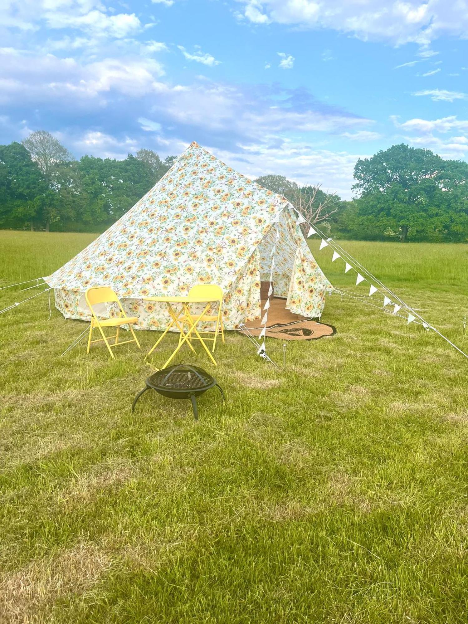 Wildside & Glamping Ashford (Kent)
