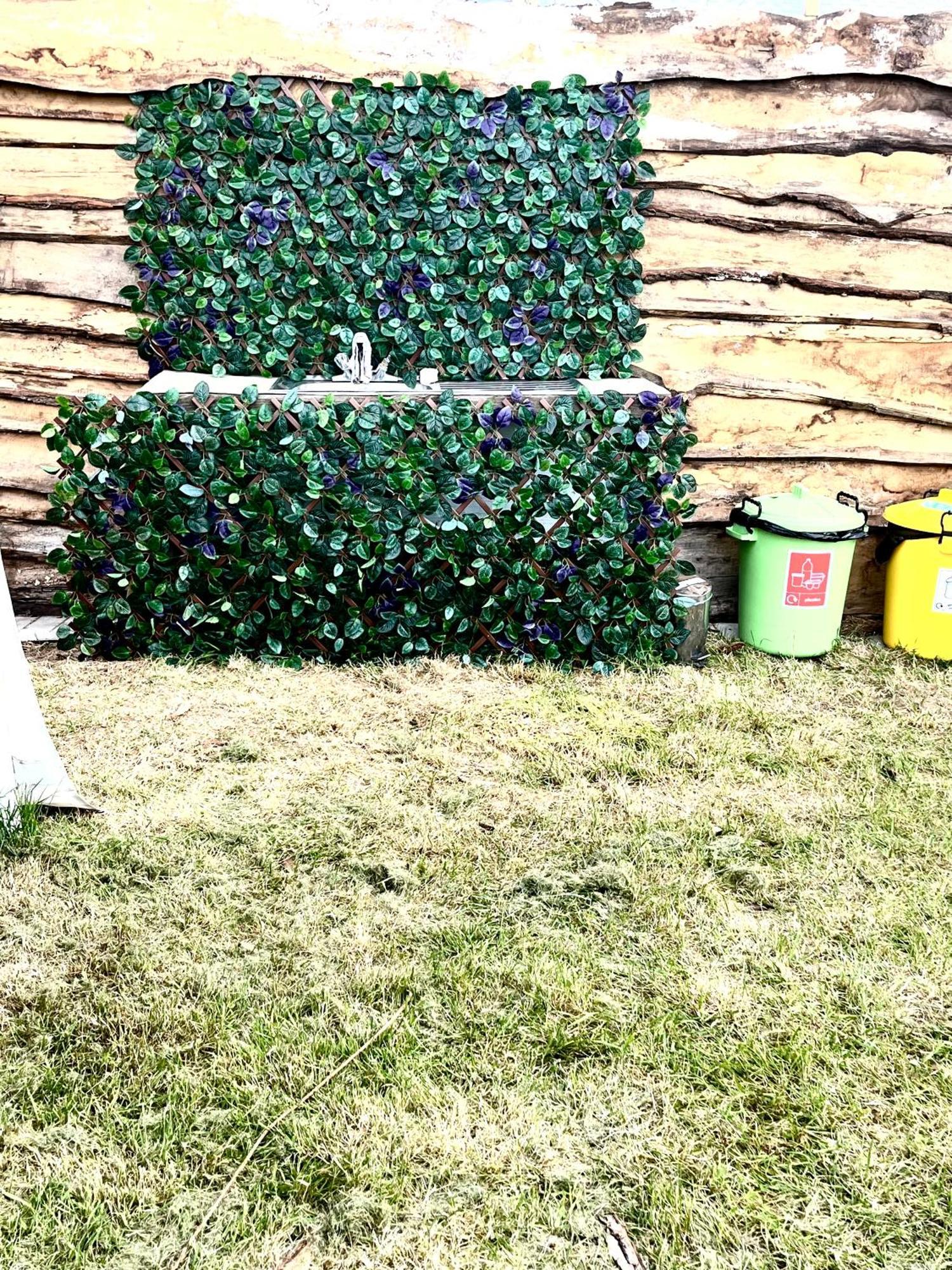 Wildside & Glamping Ashford (Kent)